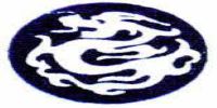 Dragon Special Resin Company Logo Close View